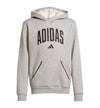 Casual Hooded Sweatshirt_Boy_ADIDAS Junior Collegiate Hoodie