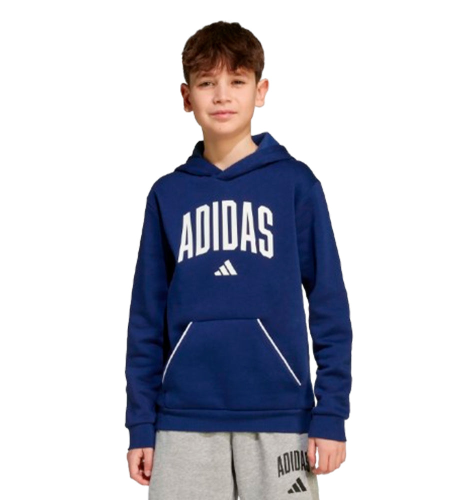 Casual Hooded Sweatshirt_Boy_ADIDAS Junior Collegiate Hoodie