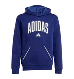 Hoodie Sudadera Capucha Casual Adidas J Clgt Oh Fl Hd