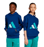 Hoodie Casual Hooded Sweatshirt Adidas J Bl Ft Hd 280