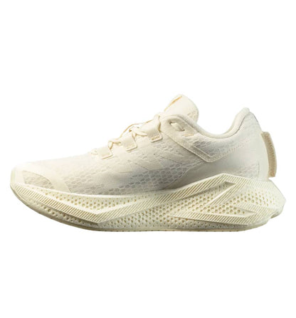 Women's Running Shoes_SALOMON Aero glide 3 W