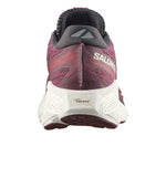 Zapatillas Running Salomon Aero Glide 4