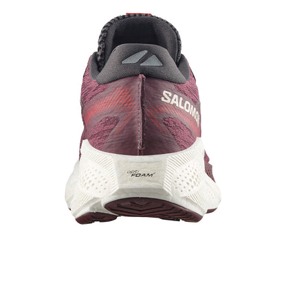 Zapatillas Running Salomon Aero Glide 4