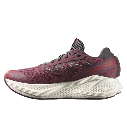 Zapatillas Running Salomon Aero Glide 4
