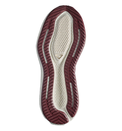 Zapatillas Running Salomon Aero Glide 4