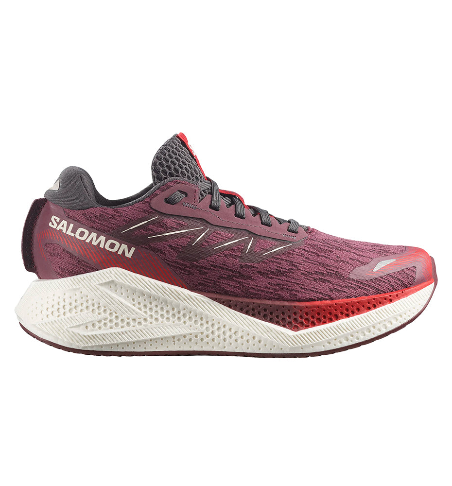 Zapatillas Running Salomon Aero Glide 4