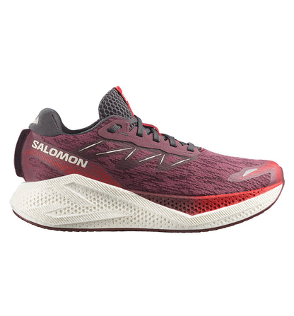 Zapatillas Running Salomon Aero Glide 4