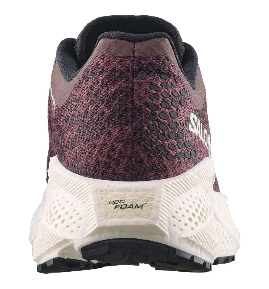 Sapatilhas de Corrida Salomon Aero Glide 4 Grvl