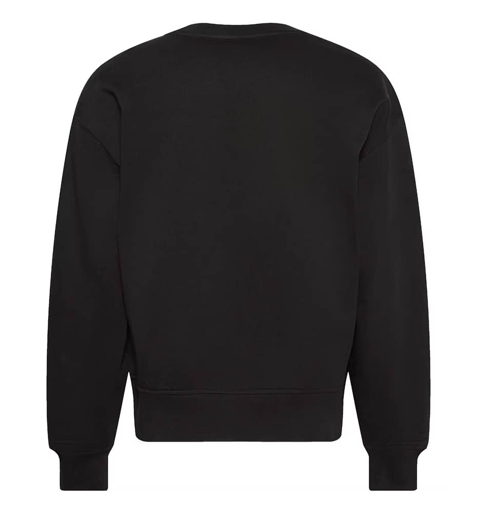 Sudadera Casual_Mujer_CALVIN KLEIN Ls Archive Logo French Terry Rlx