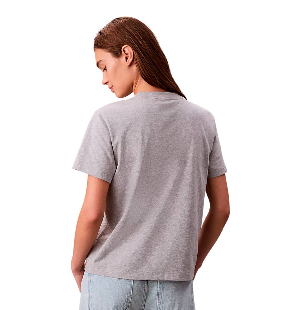 T-shirt M/c Casual_Mujer_CALVIN KLEIN Hero Ss Classic Monologue Cneck T