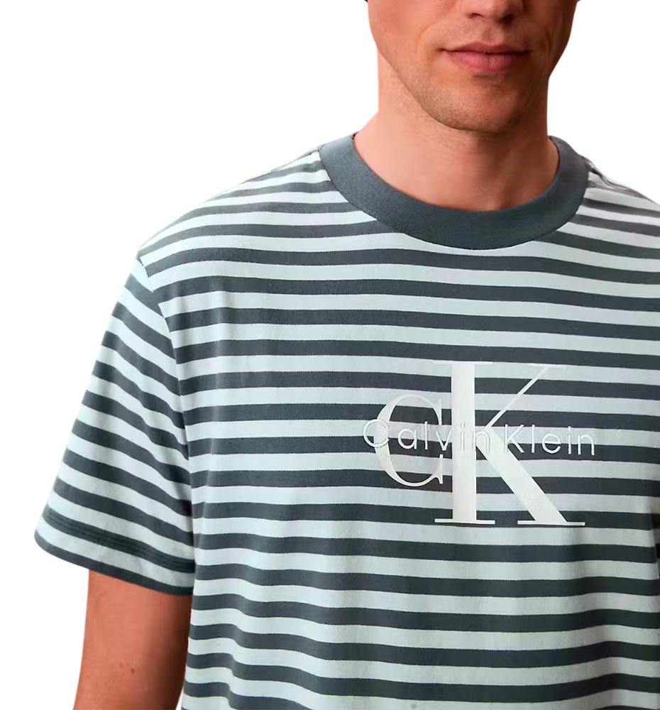 Camiseta Casual Calvin Klein 20s Stripe Monologo
