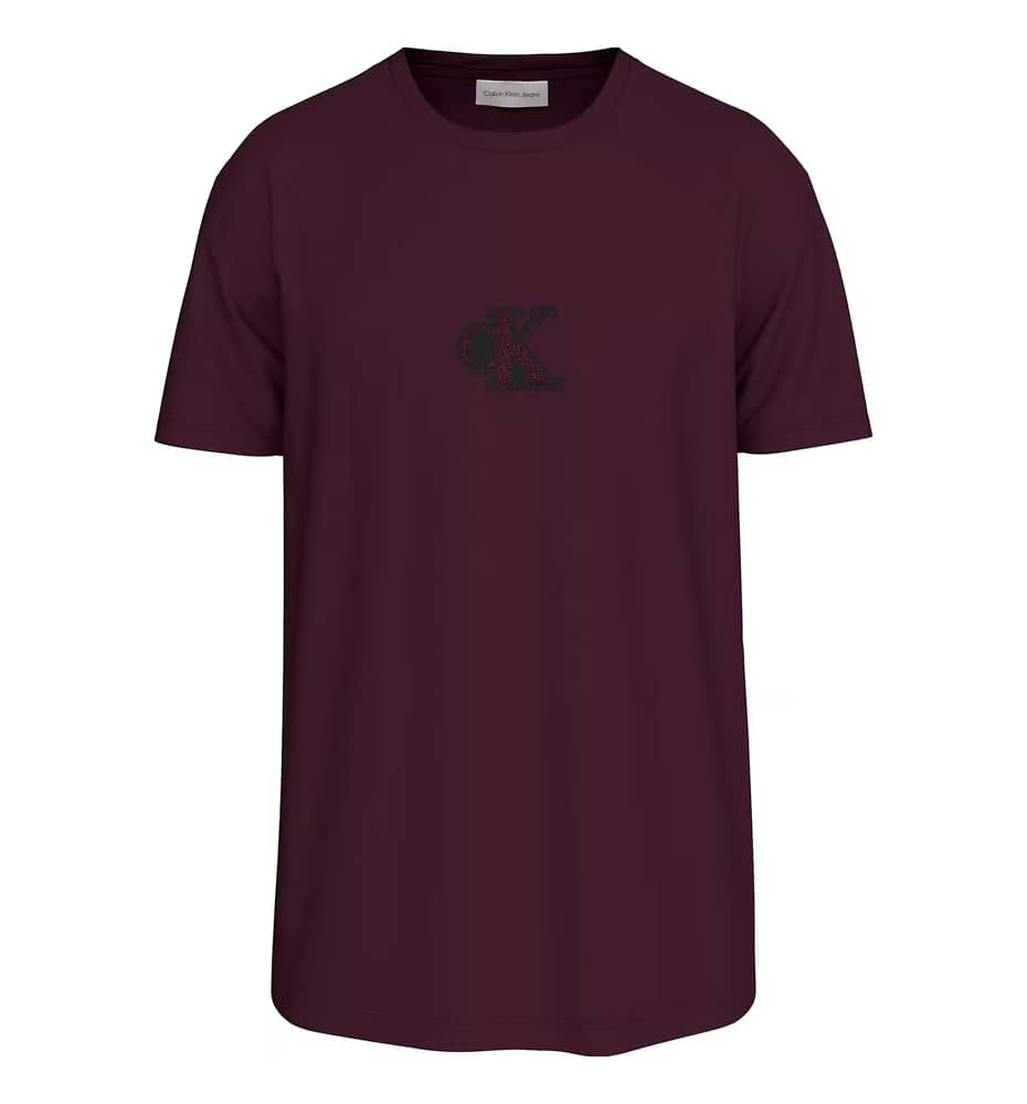 Casual_Men's T-shirt_CALVIN KLEIN Gift Giving 20s Easy Tee