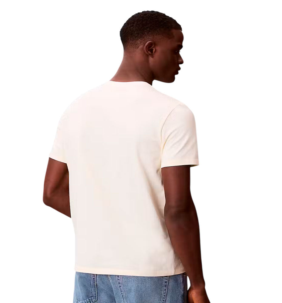 Camiseta Casual Calvin Klein Classic