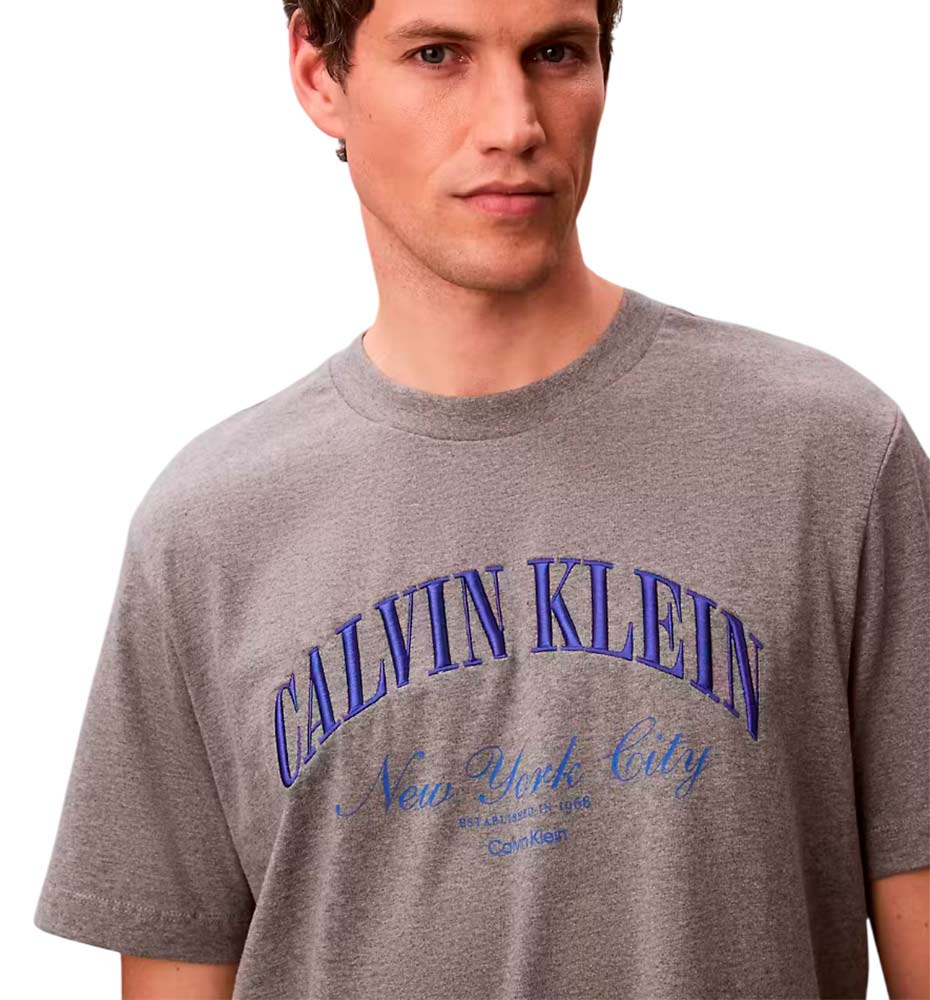 Camiseta Casual Calvin Klein 20s March Graphic