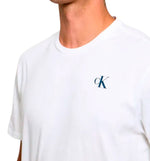 Camiseta Casual Calvin Klein 30s Calvin Klein Grap