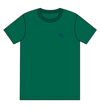 Camiseta Casual Calvin Klein 30s Classic Back Monologo