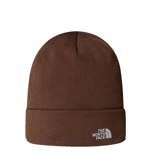 Gorros Casual_Unisex_THE NORTH FACE Norm Beanie