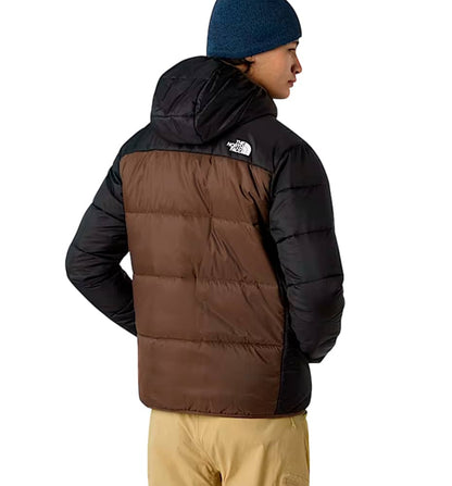 Chaqueta Casual_Hombre_THE NORTH FACE M Quest Synth Ins Jkt