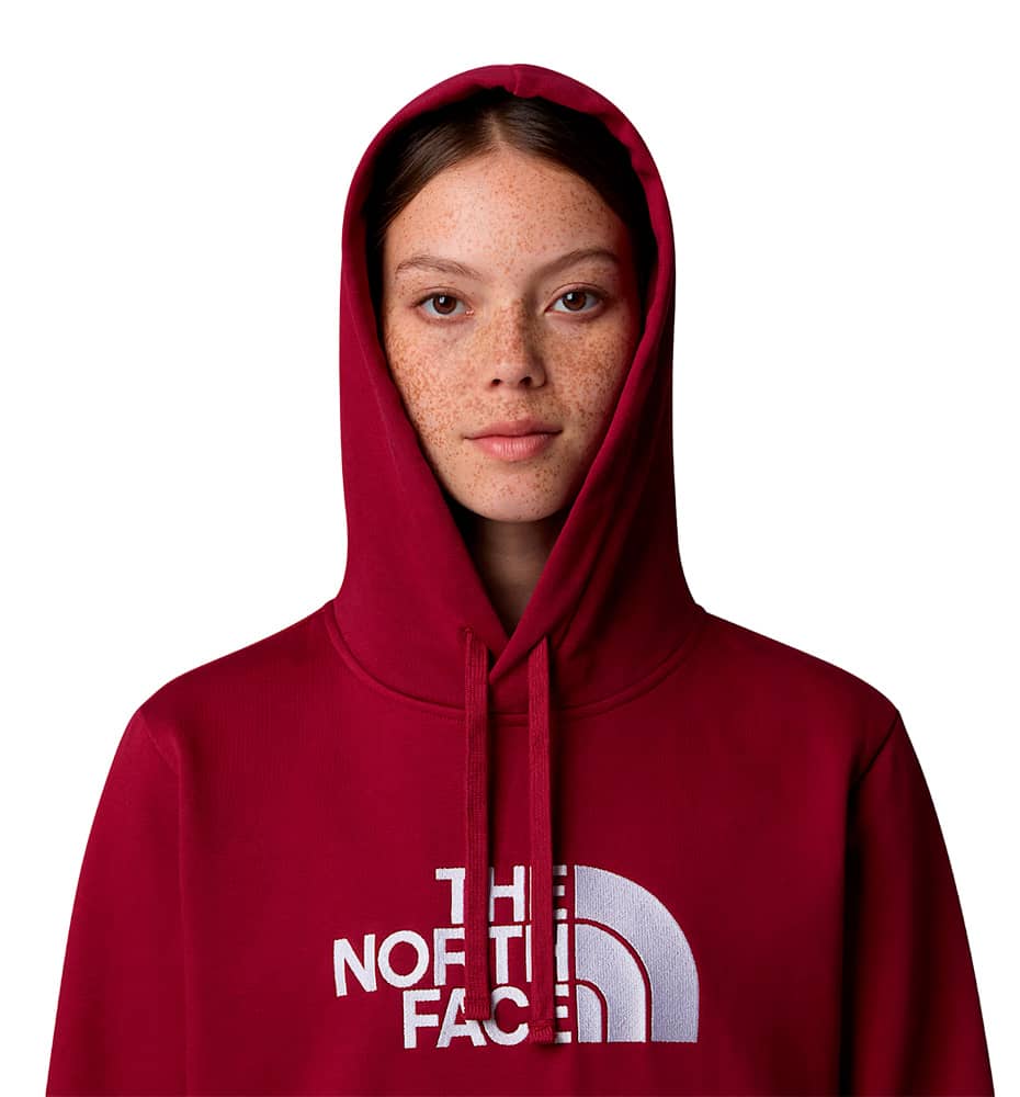 Hoodie Sudadera Capucha Casual_Mujer_THE NORTH FACE W Drew Peak Pullover Hoodie