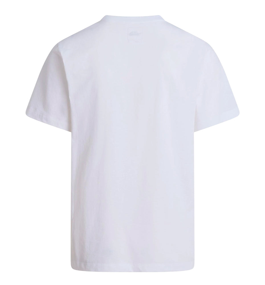 Camiseta Casual The North Face Evolution Simple Dome