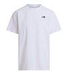 Camiseta Casual The North Face Evolution Simple Dome