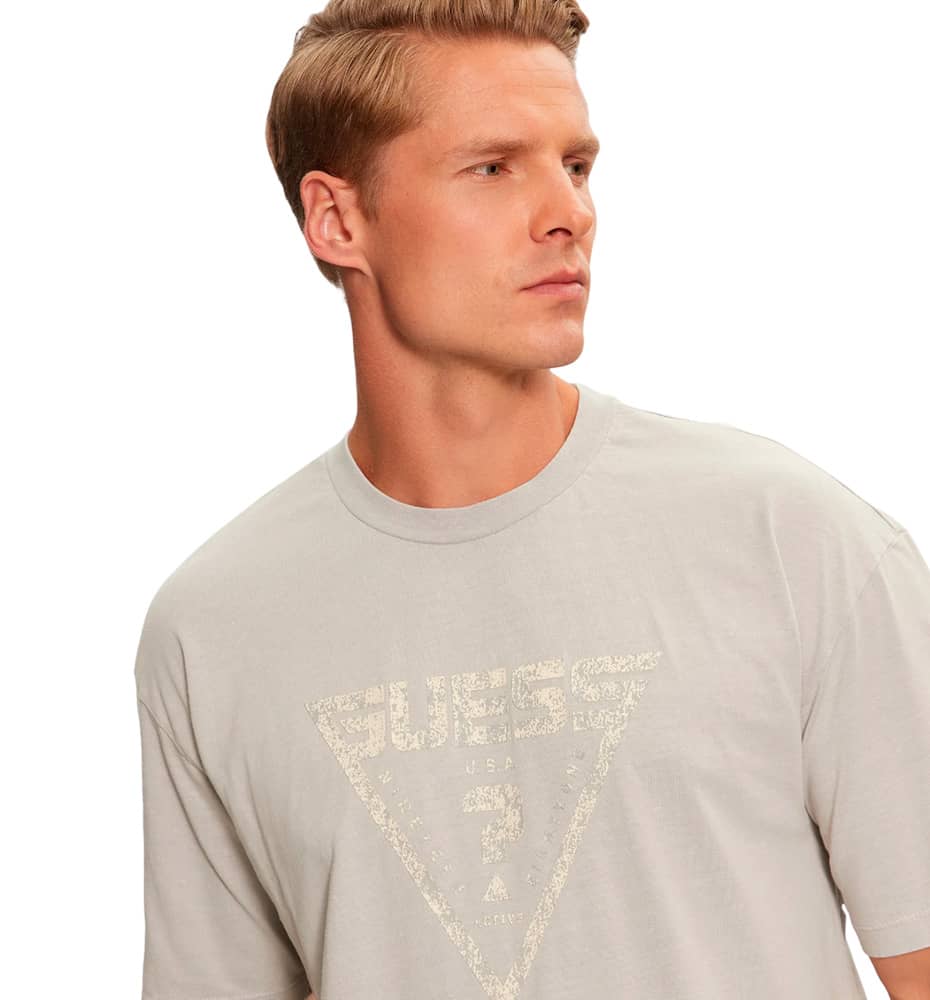 Camiseta M/c Casual_Hombre_GUESS Alioth Cn T-shirt